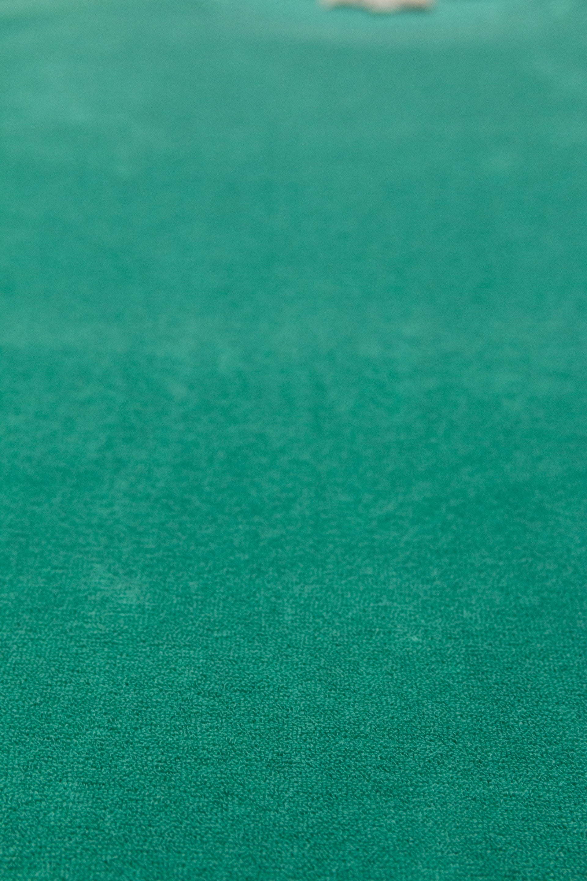 T-shirt Lewis Spugna - Verde