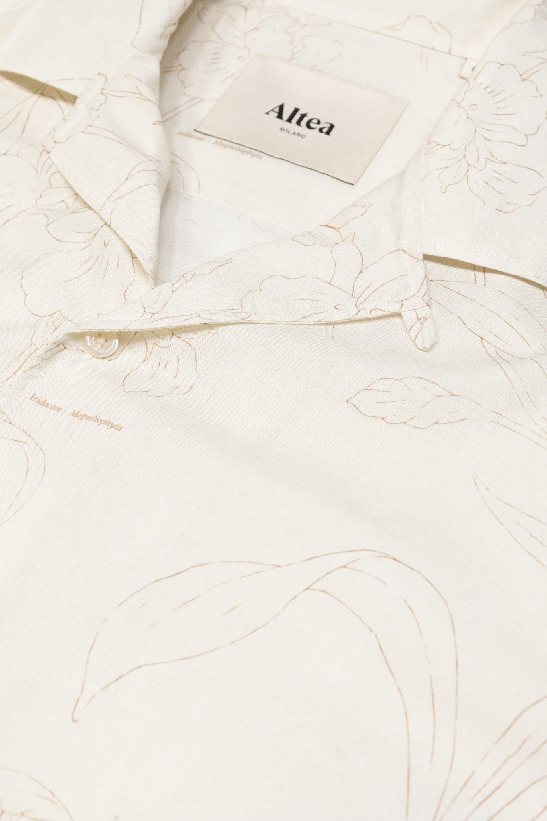 Camicia Bart Stampata M/ C - Beige